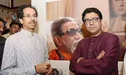 महाराष्ट्र : एक बार फिर से दहाड़ रहा है बाघ