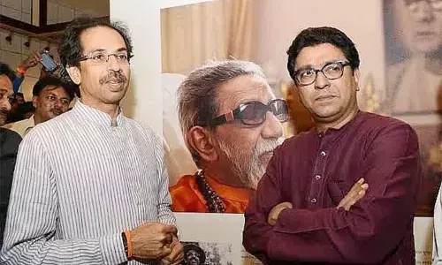 महाराष्ट्र : एक बार फिर से दहाड़ रहा है बाघ महाराष्ट्र : एक बार फिर से दहाड़ रहा है बाघ