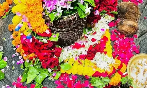 करुणा के ईश्वर के रूप में यहां विराजते हैं महादेव, संतान प्राप्ति के लिए लोग करते हैं इस ज्योतिर्लिंग के दर्शन
