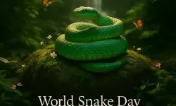 वर्ल्ड स्नेक डे : दुनिया में 3,500 से अधिक प्रजातियां, सिर्फ 200 से इंसानों को खतरा