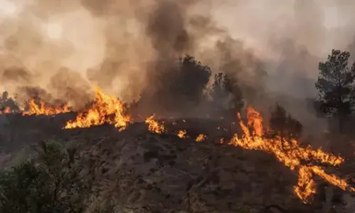 कनाडा में जंगल की आग ने लिया विकराल रूप