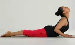 गोमुखासन से धनुषासन तक, फेफड़ों के लिए वरदान से कम नहीं ये आसन, विधि भी सरल गोमुखासन से धनुषासन तक, फेफड़ों के लिए वरदान से कम नहीं ये आसन, विधि भी सरल