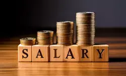 भारत में आधे से अधिक नौकरी के लिए जारी पोस्ट में अब वेतन का खुलासा होता है: रिपोर्ट भारत में आधे से अधिक नौकरी के लिए जारी पोस्ट में अब वेतन का खुलासा होता है: रिपोर्ट