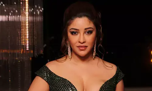 साउथ की फिल्मों के सेट पर अनुशासन देखने को मिलता है : पायल घोष