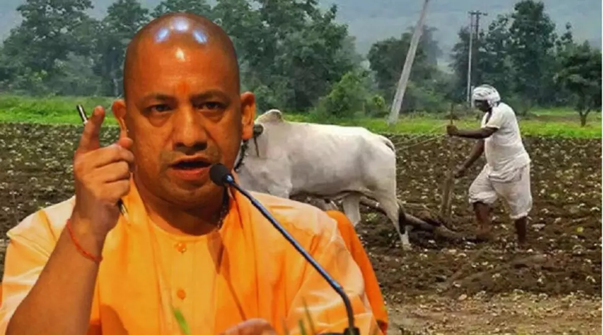 योगी सरकार ने कृषि श्रमिकों को दिया तोहफा, न्यूनतम मजदूरी में ऐतिहासिक बढ़ोत्तरी योगी सरकार ने कृषि श्रमिकों को दिया तोहफा, न्यूनतम मजदूरी में ऐतिहासिक बढ़ोत्तरी