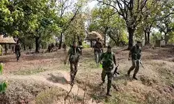 छत्तीसगढ़ में 66 नक्सलियों ने किया आत्मसमर्पण, सीएम साय ने बताया महत्वपूर्ण कदम