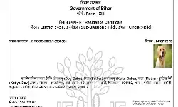 बिहार में सरकारी सिस्टम की लापरवाही का चौंकाने वाला मामला आया सामने, कुत्ते के नाम पर आवासीय प्रमाण पत्र जारी