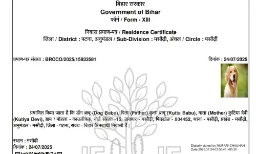 बिहार में सरकारी सिस्टम की लापरवाही का चौंकाने वाला मामला आया सामने, कुत्ते के नाम पर आवासीय प्रमाण पत्र जारी