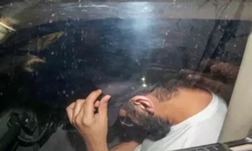 जनवरी 2025 से अब तक 1,703 भारतीयों को अमेरिका से डिपोर्ट किया गया : विदेश मंत्रालय जनवरी 2025 से अब तक 1,703 भारतीयों को अमेरिका से डिपोर्ट किया गया : विदेश मंत्रालय