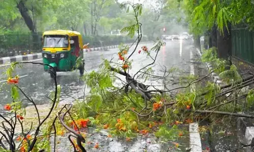 दिल्ली -एनसीआर में झमाझम बारिश, आईएमडी ने जारी किया येलो अलर्ट