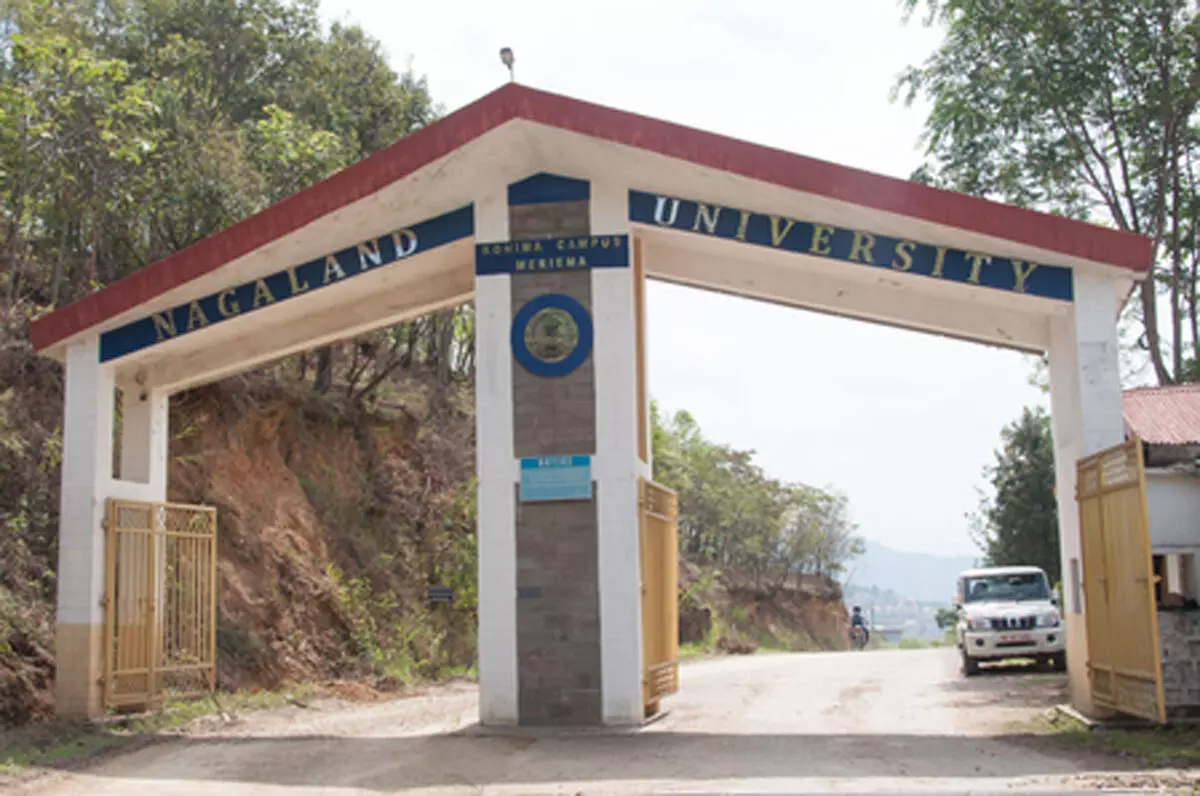 नागा भाषा और संस्कृति को बढ़ावा देने की पहल, पीजी पाठ्यक्रम तैयार नागा भाषा और संस्कृति को बढ़ावा देने की पहल, पीजी पाठ्यक्रम तैयार