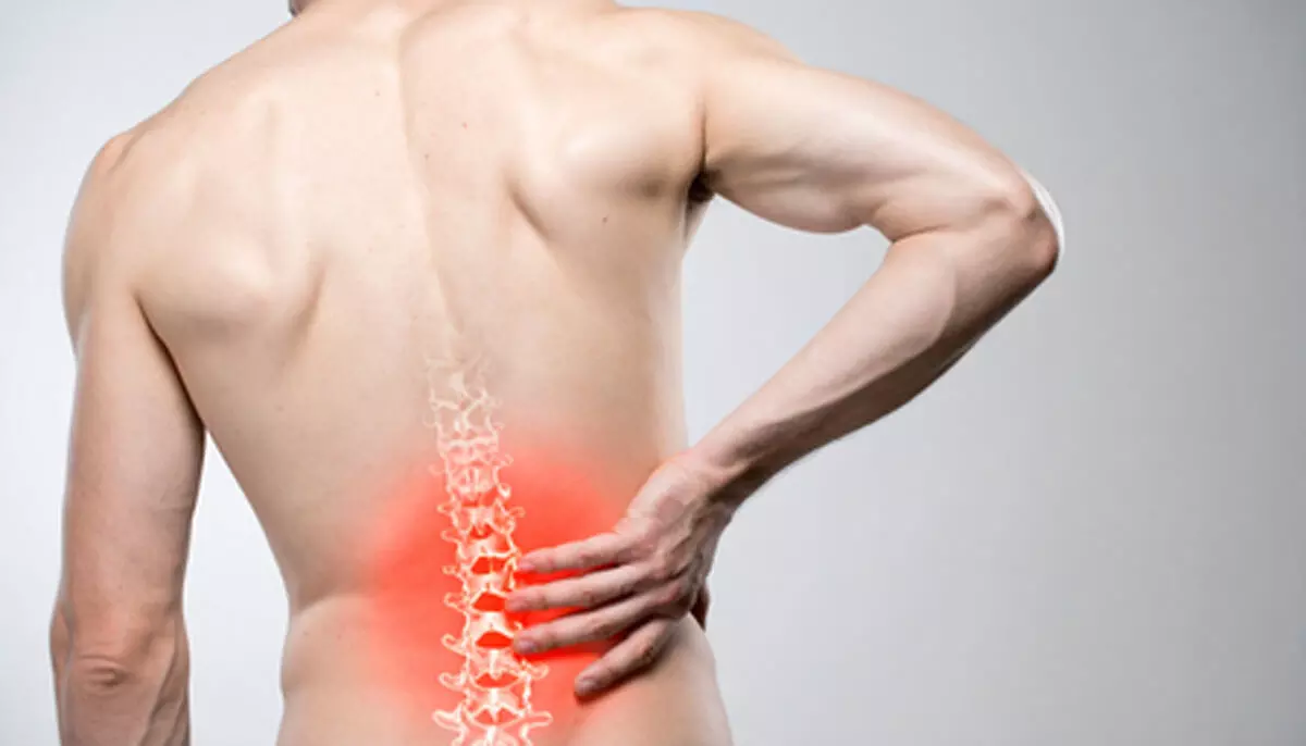 स्लिप डिस्क की समस्या में राहत दिला सकते हैं ये पांच योगासन, मन को भी करते है शांत