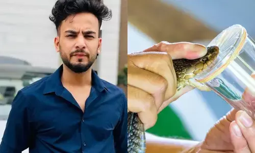 एल्विश यादव को सुप्रीम कोर्ट से राहत, सांप के जहर से जुड़े मामले में ट्रायल कोर्ट की कार्यवाही पर रोक एल्विश यादव को सुप्रीम कोर्ट से राहत, सांप के जहर से जुड़े मामले में ट्रायल कोर्ट की कार्यवाही पर रोक