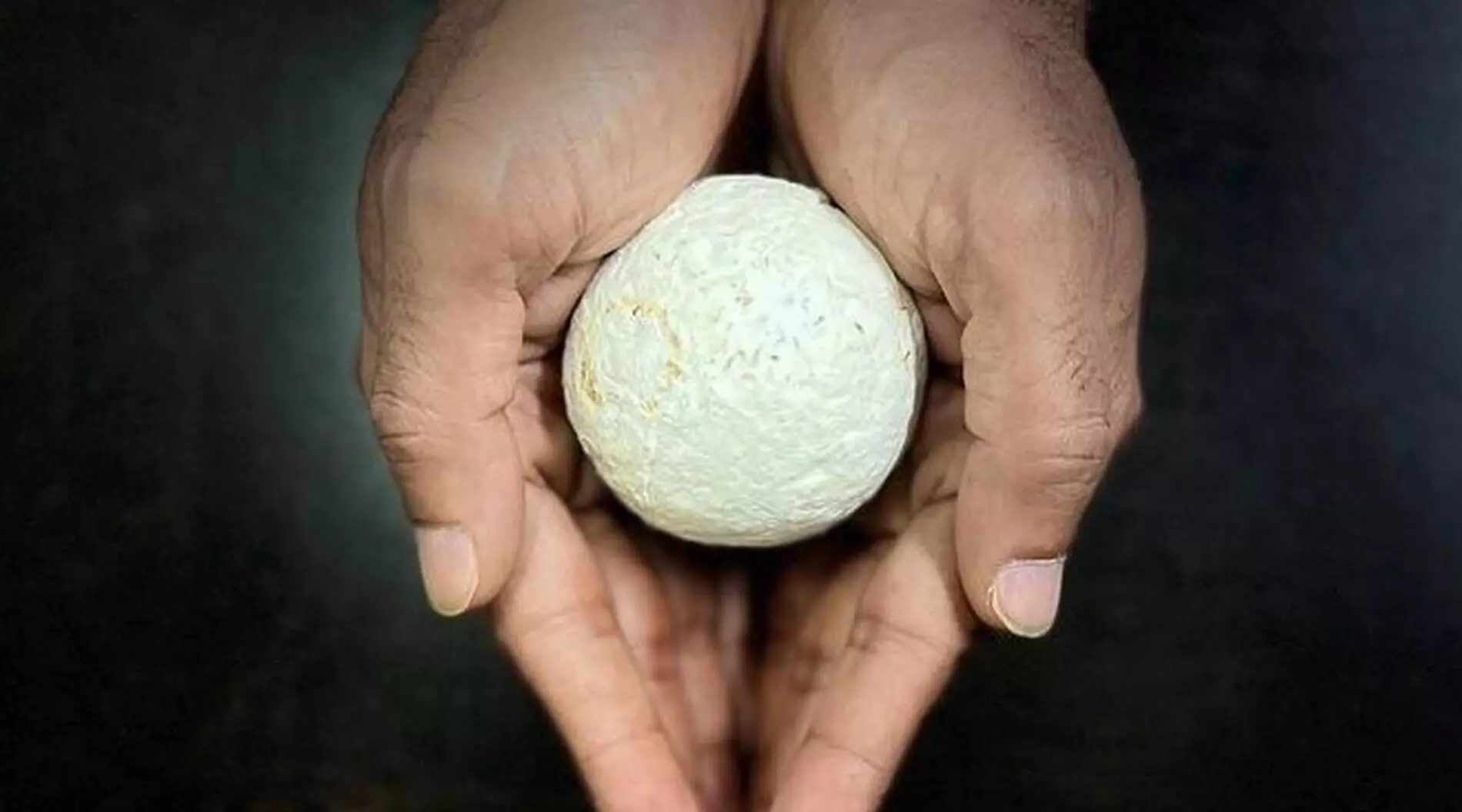 आईआईटी मद्रास ने खेती के कचरे से बनाया प्लास्टिक का विकल्प आईआईटी मद्रास ने खेती के कचरे से बनाया प्लास्टिक का विकल्प