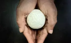 आईआईटी मद्रास ने खेती के कचरे से बनाया प्लास्टिक का विकल्प