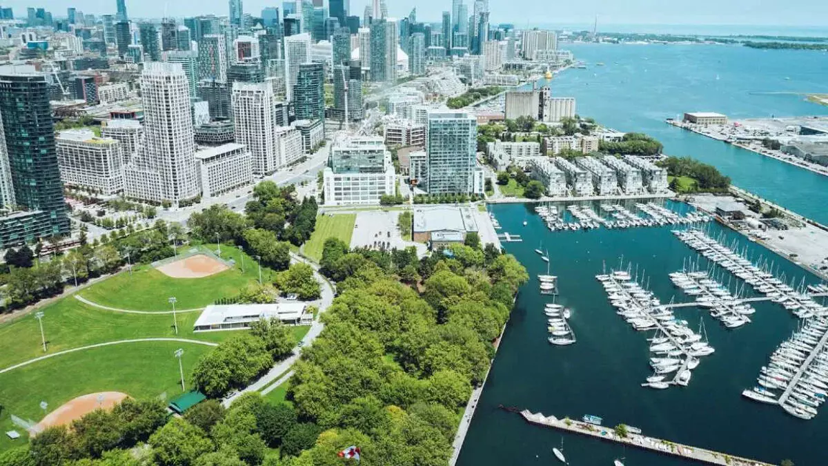 शहरी हरियाली को बचाने जागरूक होते नागरिक