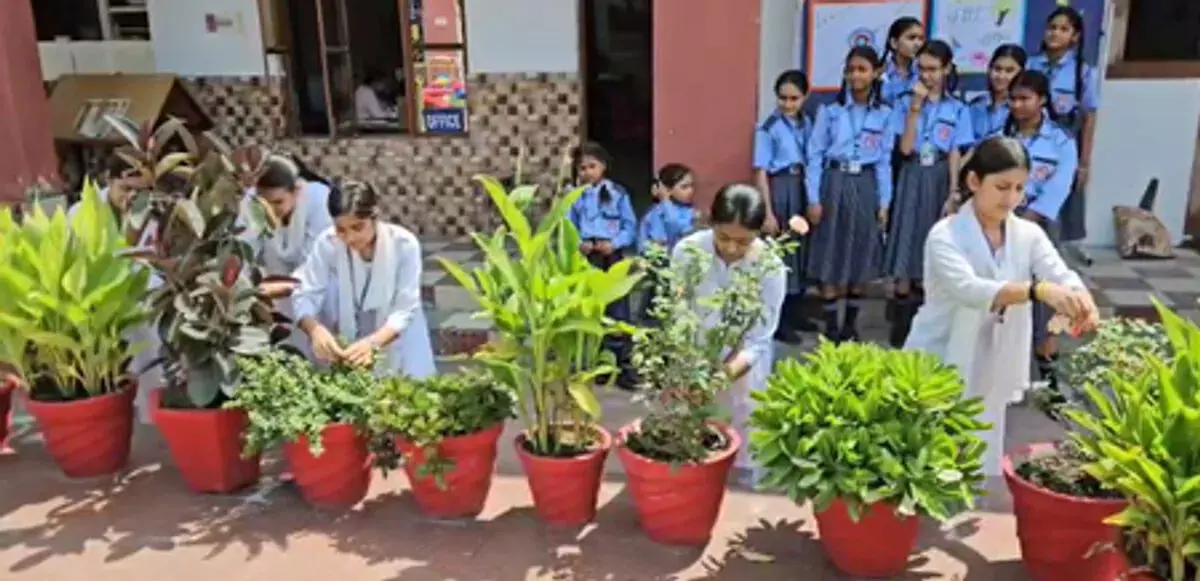 कश्‍मीर में छात्रों ने मनाया अनोखा रक्षाबंधन, पेड़-पौधे को बांधा रक्षासूत्र