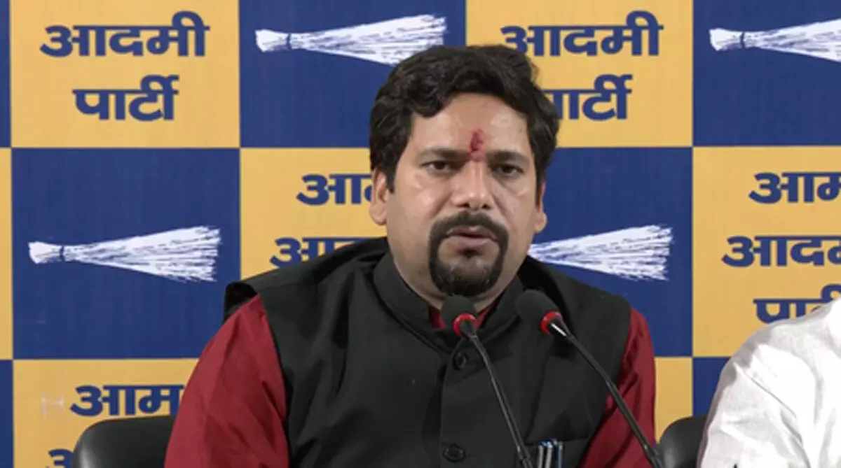 दिल्ली में आपराधिक वारदातों में हो रहा इजाफा : संजीव झा