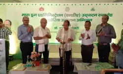 झारखंड को 2027 तक फाइलेरिया मुक्त बनाने का लक्ष्य, राज्यभर में मास ड्रग अभियान शुरू झारखंड को 2027 तक फाइलेरिया मुक्त बनाने का लक्ष्य, राज्यभर में मास ड्रग अभियान शुरू