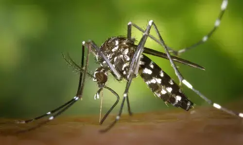 मुंबई में डेंगू के मामलों में रिकॉर्ड वृद्धि, अब तक दो बच्चों की हुई मौत