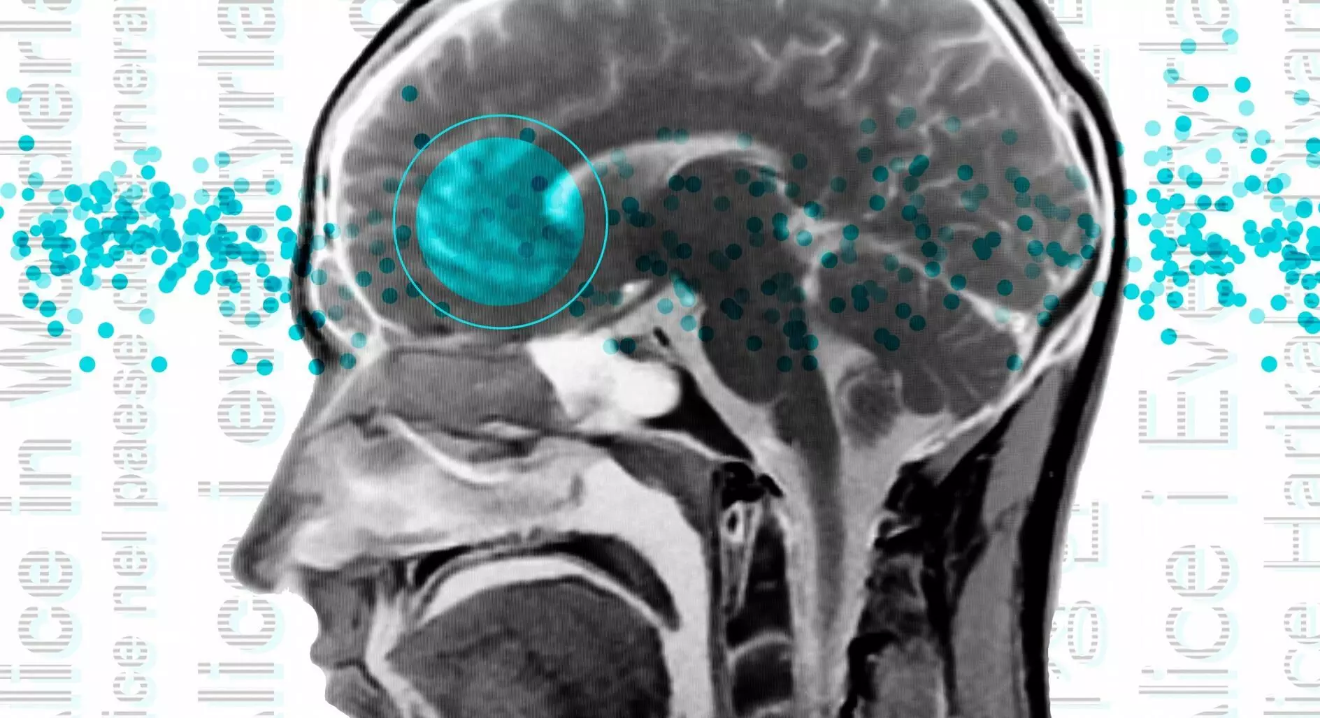 दिमाग के लिए एक नई भाषा सीखना कितना मुश्किल?
