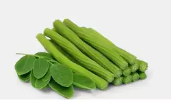 अर्थराइटिस-डायबिटीज जैसे समस्याओं में राहत दिलाता है मोरिंगा