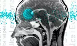 दिमाग के लिए एक नई भाषा सीखना कितना मुश्किल? दिमाग के लिए एक नई भाषा सीखना कितना मुश्किल?