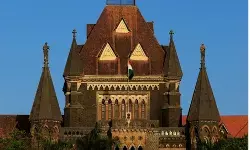 आवारा कुत्तों के बाद अब कबूतरों पर कार्रवाई, बॉम्बे हाईकोर्ट ने कबूतरों को दाना डालने पर लगाए गए प्रतिबंध को बरकरार रखा आवारा कुत्तों के बाद अब कबूतरों पर कार्रवाई, बॉम्बे हाईकोर्ट ने कबूतरों को दाना डालने पर लगाए गए प्रतिबंध को बरकरार रखा