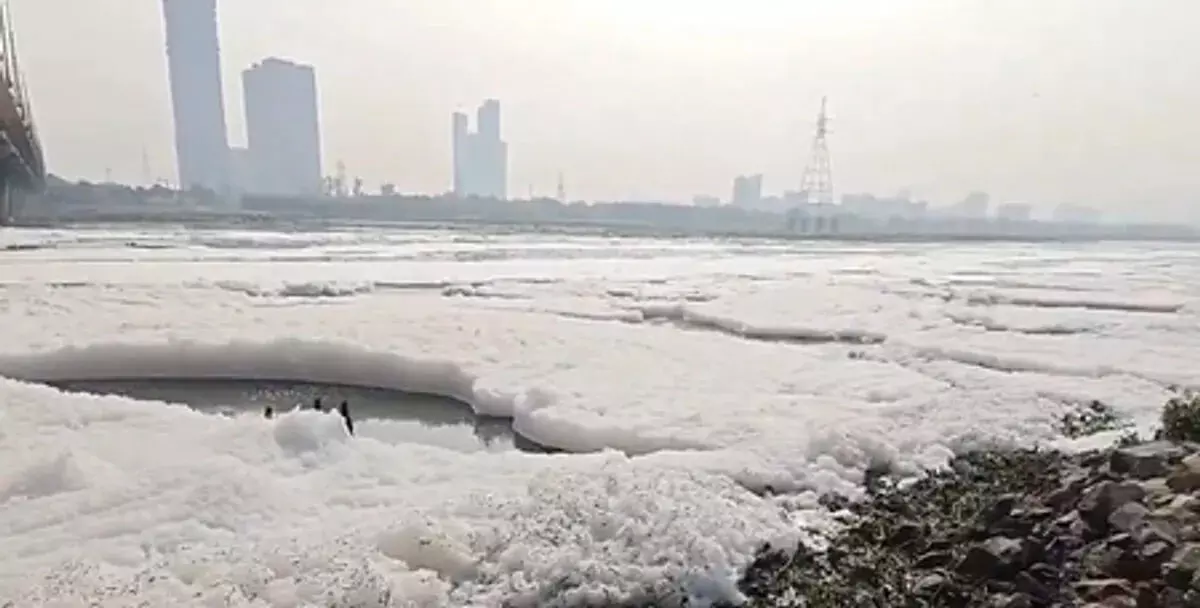 यमुना नदी का होगा कायाकल्प, दिल्ली जल बोर्ड ने 917 करोड़ के सीवेज ट्रीटमेंट प्रोजेक्ट को दी मंजूरी