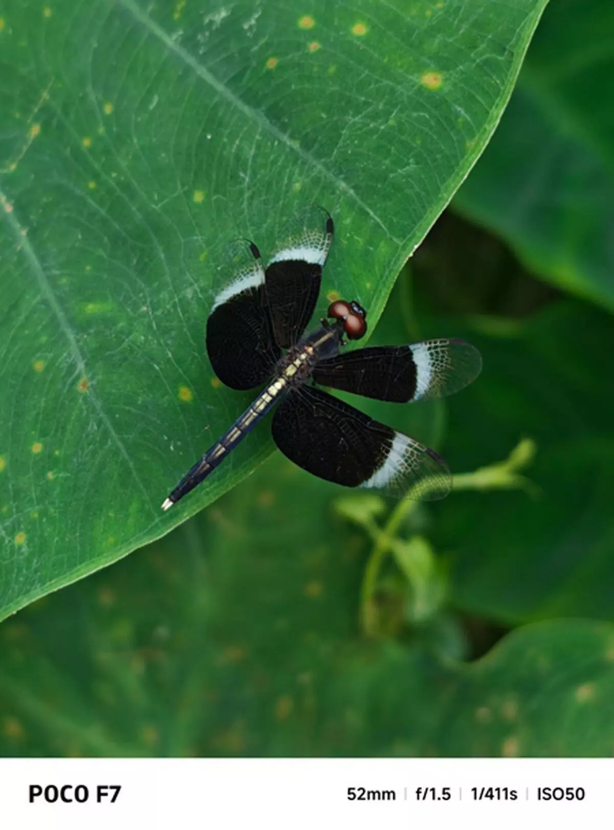 पोको एफ-7 के लिए पहला ओटीए सॉफ्टवेयर अपडेट जारी