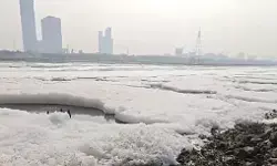 यमुना नदी का होगा कायाकल्प, दिल्ली जल बोर्ड ने 917 करोड़ के सीवेज ट्रीटमेंट प्रोजेक्ट को दी मंजूरी