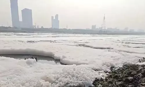 यमुना नदी का होगा कायाकल्प, दिल्ली जल बोर्ड ने 917 करोड़ के सीवेज ट्रीटमेंट प्रोजेक्ट को दी मंजूरी