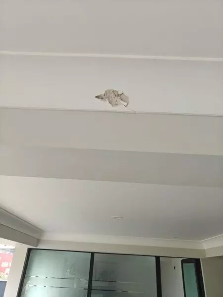 एल्विश यादव के घर पर हुई फायरिंग, बाइक पर सवार 3 लोगों ने 20-25 राउंड तक ताबड़तोड़ गोलियां चलाईं एल्विश यादव के घर पर हुई फायरिंग, बाइक पर सवार 3 लोगों ने 20-25 राउंड तक ताबड़तोड़ गोलियां चलाईं