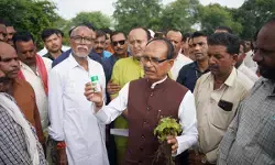 किसानों की जली फसल पर शिवराज चौहान ने जताई नाराजगी, कहा- दोषी कंपनी पर सख्त कार्रवाई होगी किसानों की जली फसल पर शिवराज चौहान ने जताई नाराजगी, कहा- दोषी कंपनी पर सख्त कार्रवाई होगी