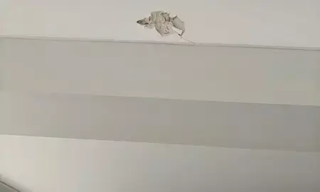 एल्विश यादव के घर पर हुई फायरिंग, बाइक पर सवार 3 लोगों ने 20-25 राउंड तक ताबड़तोड़ गोलियां चलाईं