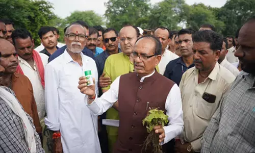 किसानों की जली फसल पर शिवराज चौहान ने जताई नाराजगी, कहा- दोषी कंपनी पर सख्त कार्रवाई होगी