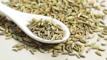 सौंफ सिर्फ स्वाद और खुशबू के लिए नहीं, बल्कि सेहत के लिए भी किसी वरदान से कम नहीं, जानिए कैसे सौंफ सिर्फ स्वाद और खुशबू के लिए नहीं, बल्कि सेहत के लिए भी किसी वरदान से कम नहीं, जानिए कैसे