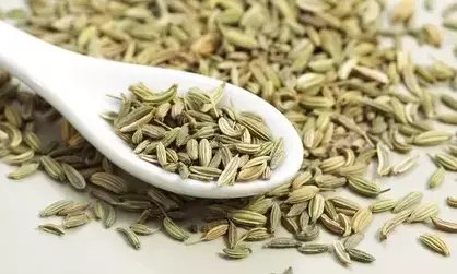 सौंफ सिर्फ स्वाद और खुशबू के लिए नहीं, बल्कि सेहत के लिए भी किसी वरदान से कम नहीं, जानिए कैसे