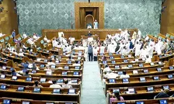 भारतीय समुद्री उत्पादों पर क्या है अमेरिकी व्यापार का प्रभाव? सरकार ने दिया जवाब भारतीय समुद्री उत्पादों पर क्या है अमेरिकी व्यापार का प्रभाव? सरकार ने दिया जवाब