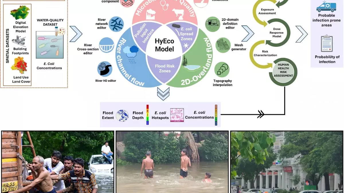 आईआईटी रुड़की का टूल करेगा भविष्यवाणी, बाढ़ से फैलने वाले बीमारियों की देगा जानकारी