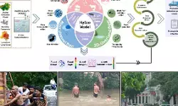 आईआईटी रुड़की का टूल करेगा भविष्यवाणी, बाढ़ से फैलने वाले बीमारियों की देगा जानकारी