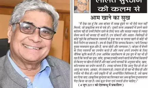 ललित सुरजन की कलम से - आम खाने का सुख ललित सुरजन की कलम से - आम खाने का सुख