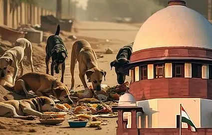 ‘वैक्सीनेशन के बाद अब आवारा कुत्तों को उनके मूल इलाकों में छोड़ा जाएगा’, सुप्रीम कोर्ट का बड़ा फैसला ‘वैक्सीनेशन के बाद अब आवारा कुत्तों को उनके मूल इलाकों में छोड़ा जाएगा’, सुप्रीम कोर्ट का बड़ा फैसला