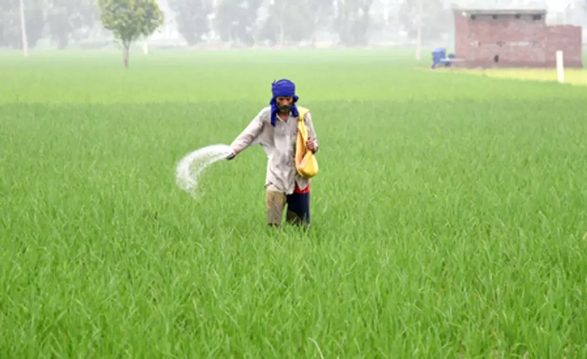 तेलंगाना में यूरिया की कोई कमी नहीं, मंत्री ने किसानों को दिया भरोसा