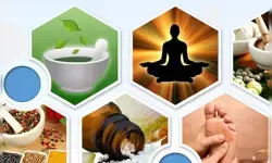 भारत ने हर्बल औषधियों की गुणवत्ता और सुरक्षा मानकों में बनाई अग्रणी पहचान