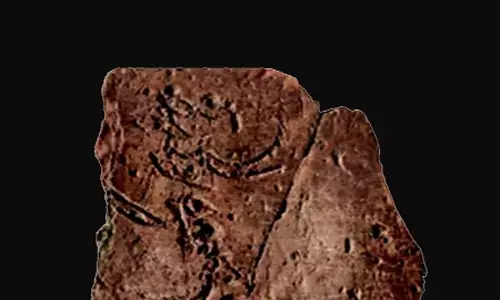 उनकी कविताओं का मूल स्वर आशावादी हैं