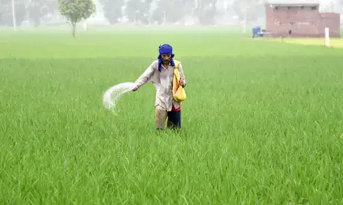 तेलंगाना में यूरिया की कोई कमी नहीं, मंत्री ने किसानों को दिया भरोसा तेलंगाना में यूरिया की कोई कमी नहीं, मंत्री ने किसानों को दिया भरोसा