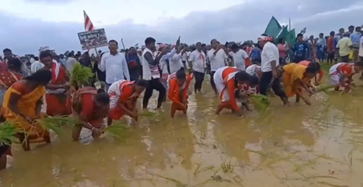 रांची में रिम्स-टू के जमीन विवाद पर बवाल, हजारों लोगों ने हल चलाया और रोपा धान रांची में रिम्स-टू के जमीन विवाद पर बवाल, हजारों लोगों ने हल चलाया और रोपा धान