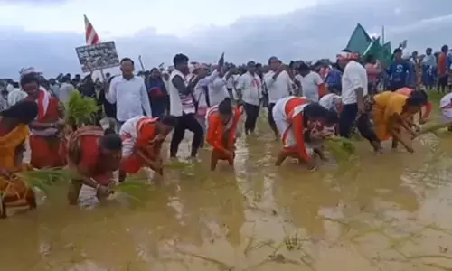 रांची में रिम्स-टू के जमीन विवाद पर बवाल, हजारों लोगों ने हल चलाया और रोपा धान रांची में रिम्स-टू के जमीन विवाद पर बवाल, हजारों लोगों ने हल चलाया और रोपा धान