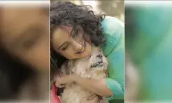 इंटरनेशनल डॉग डे : अभिनेत्री दिव्या दत्ता ने स्ट्रीट डॉग्स के लिए की प्यार और करुणा दिखाने की अपील